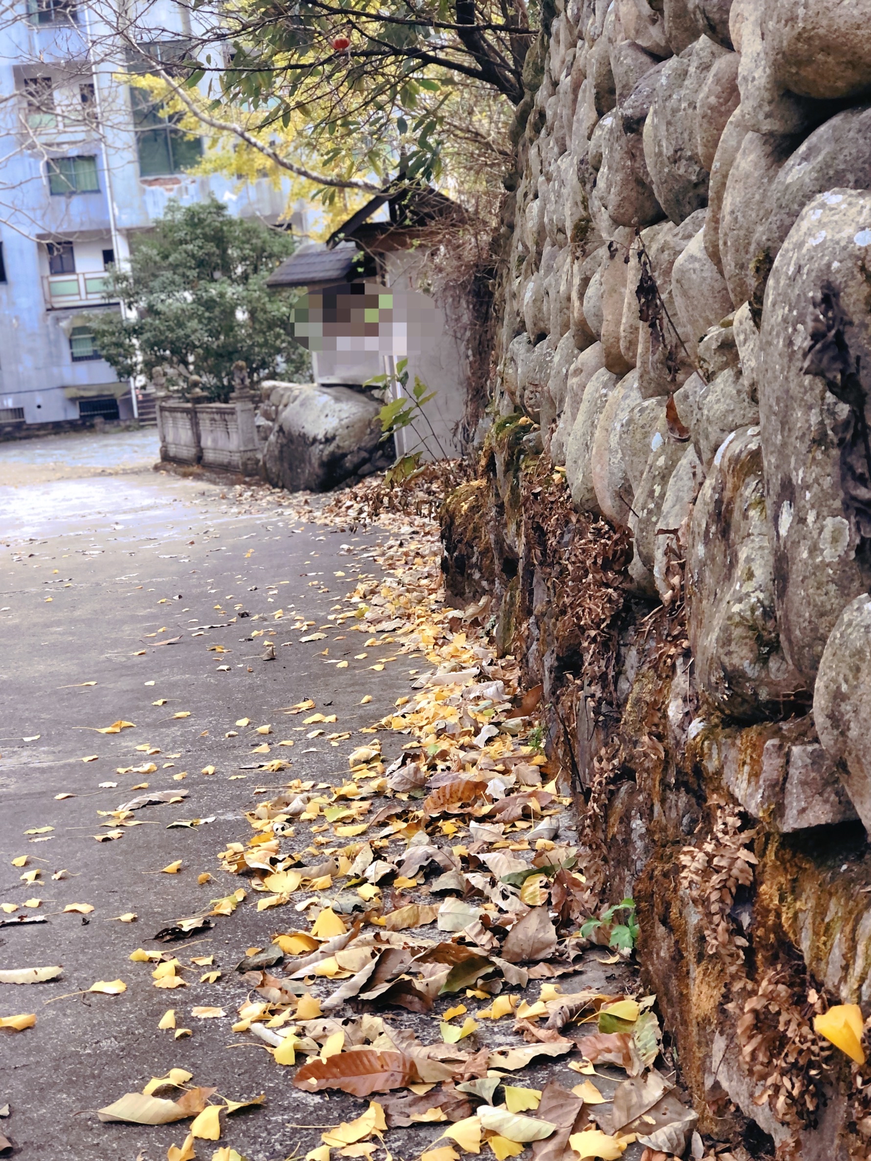 这星期基本一直住在山里