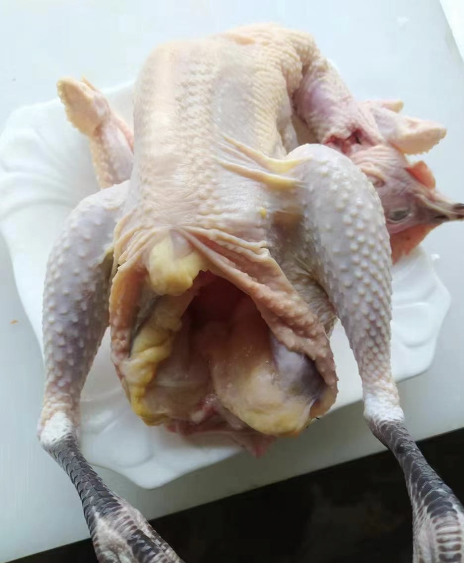 土鸡煲汤对身体有相当的好处,滋补有营养