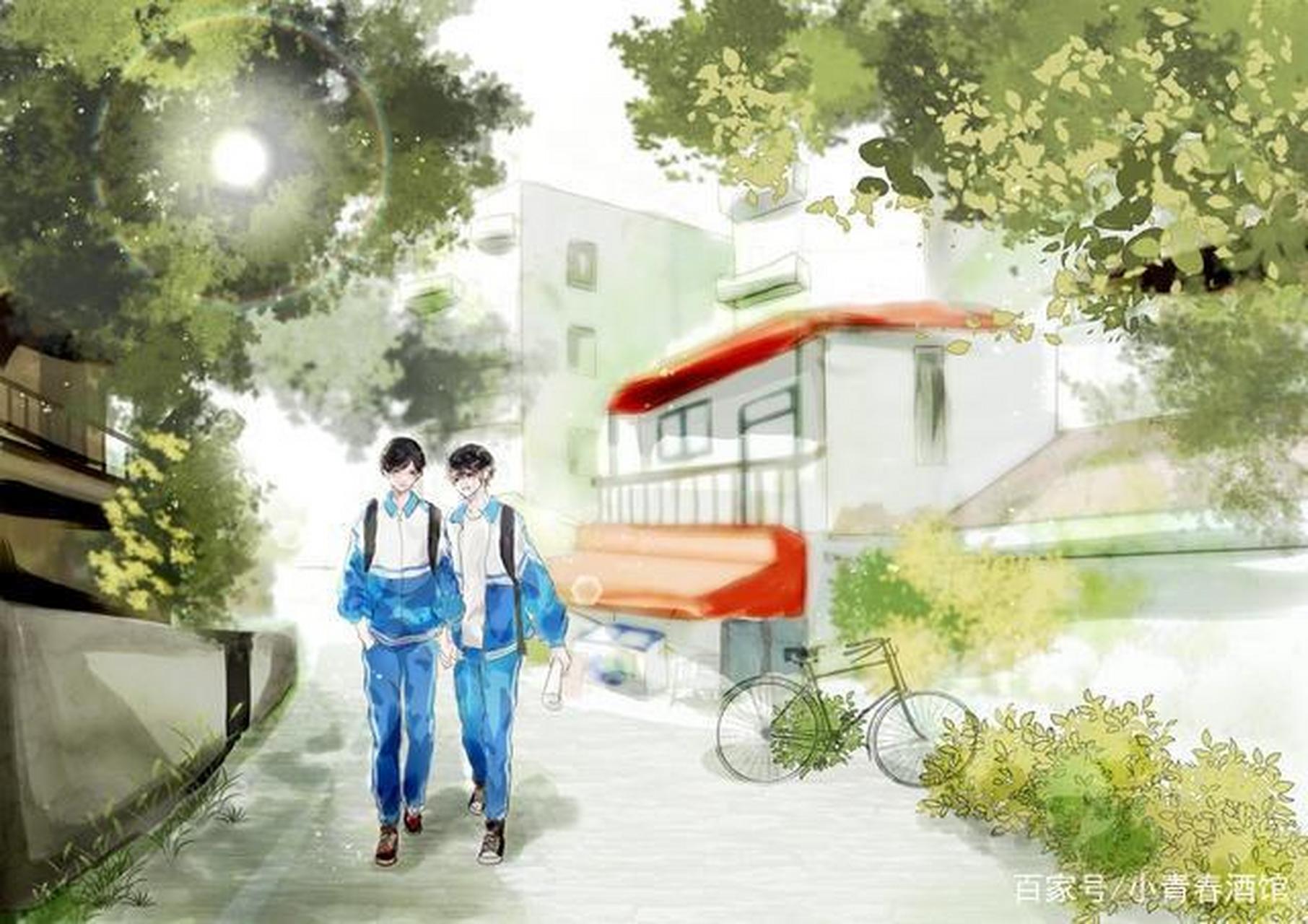 三号路依然长的没有尽头,梧桐树荫还是枝繁叶茂   人间骄阳正好    风