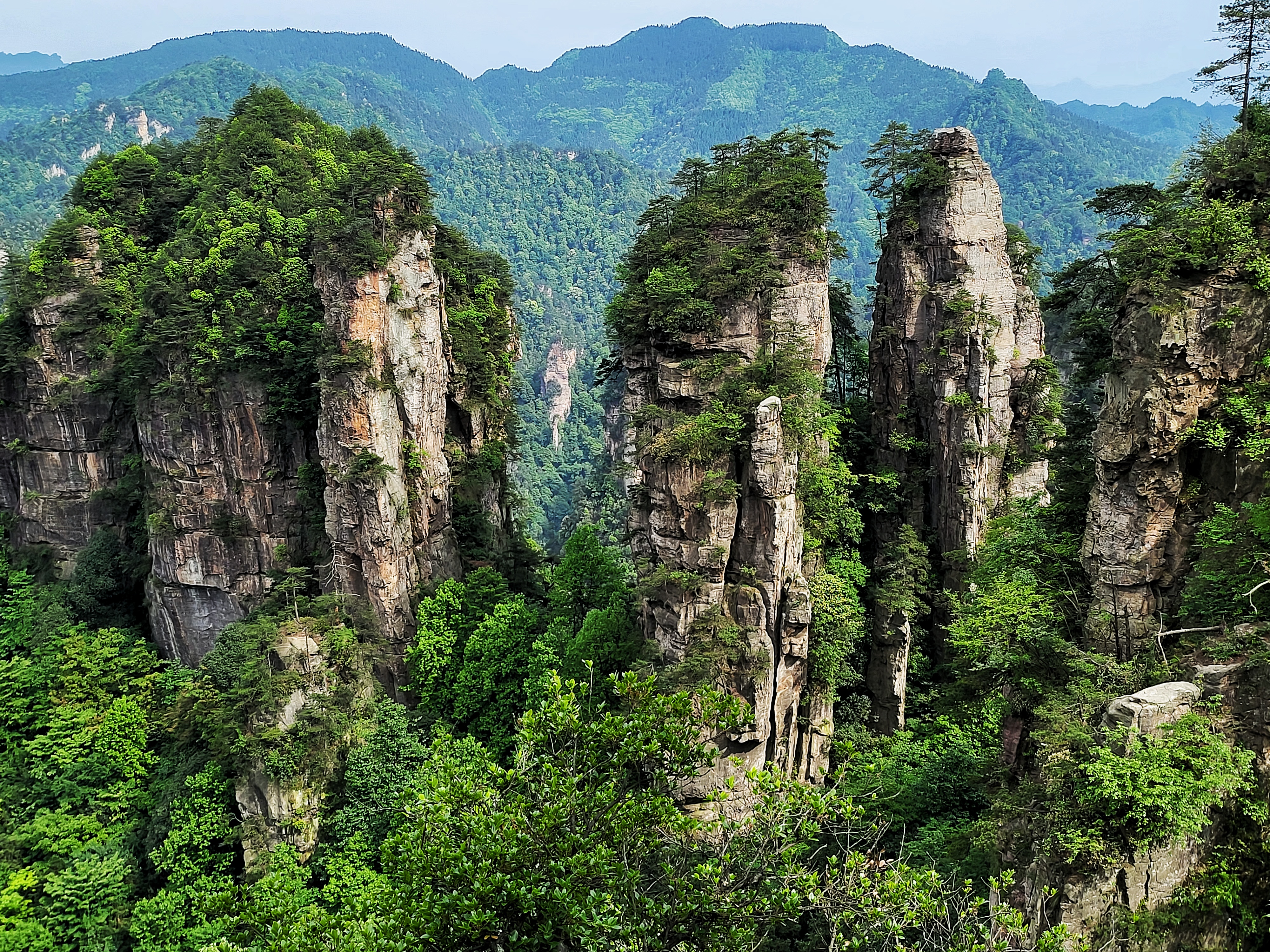 杨家界风景图片图片