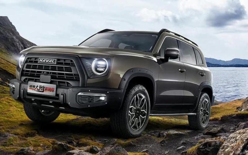 女士可能喜欢哈佛大狗追猎版,男士可能更倾