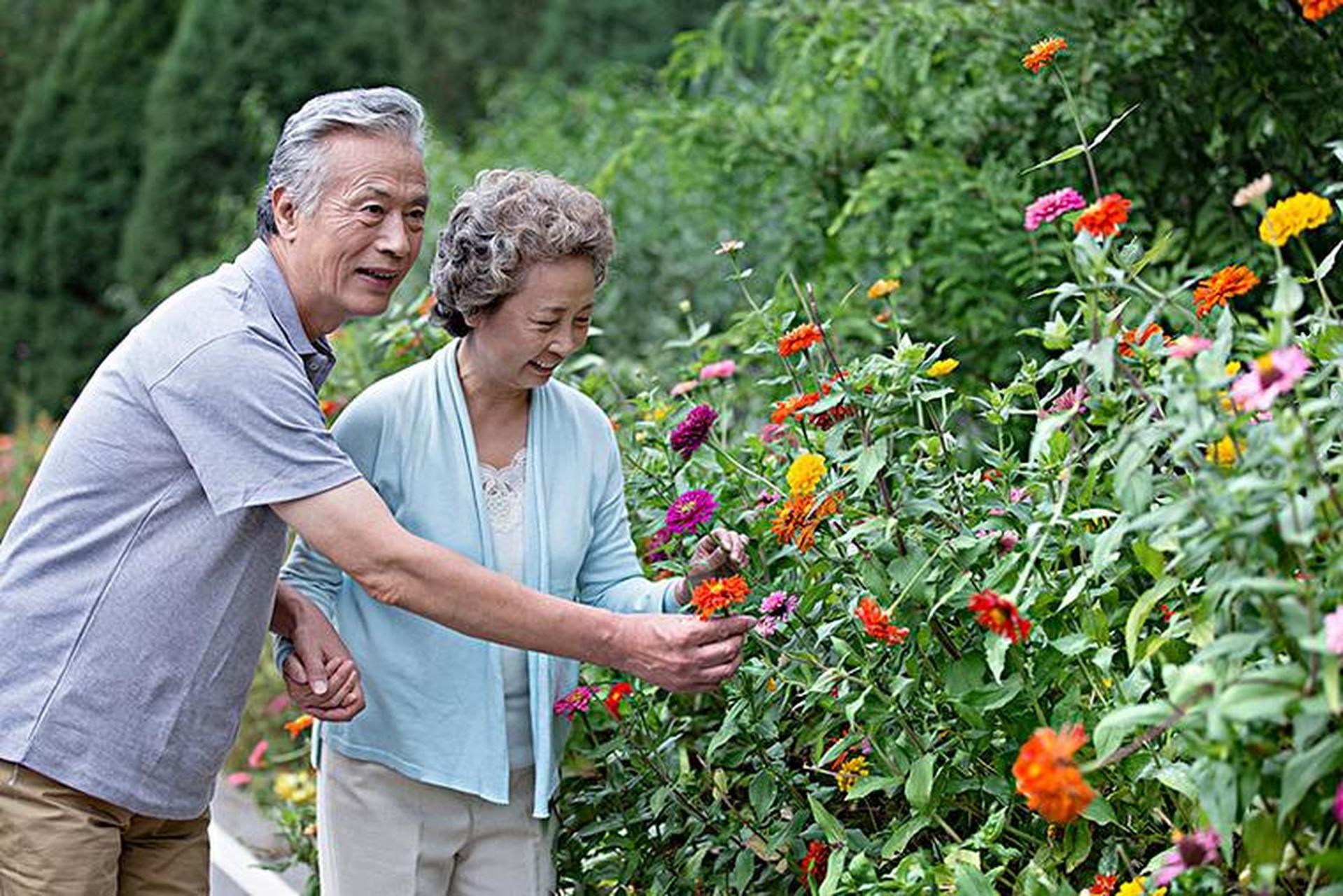 老年幸福的秘诀(原创)  夫妻到了70岁之后,如果还能一起完成生活起居