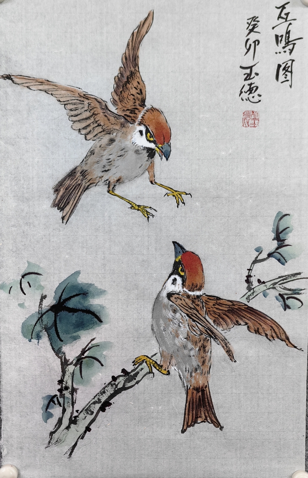 呆立两脚兽,疑似偷窥狂