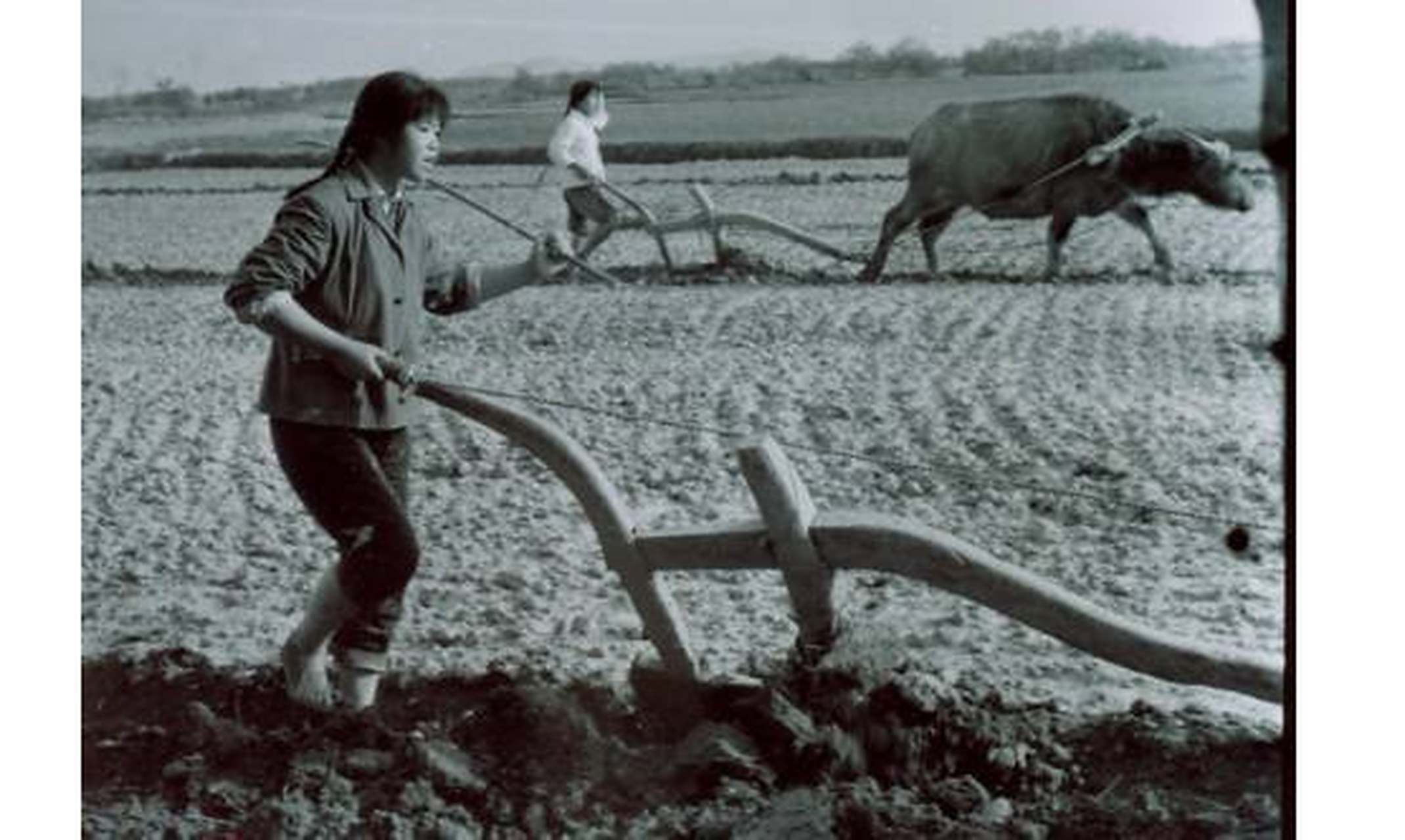 农村记忆:1970年知识青年上山下乡在生产队劳动的老照片
