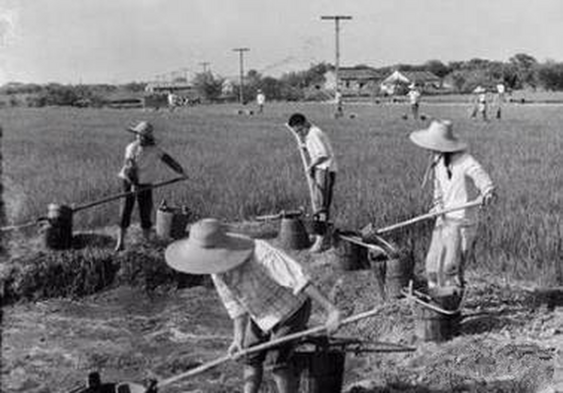 农村记忆:1970年知识青年上山下乡在生产队劳动的老照片
