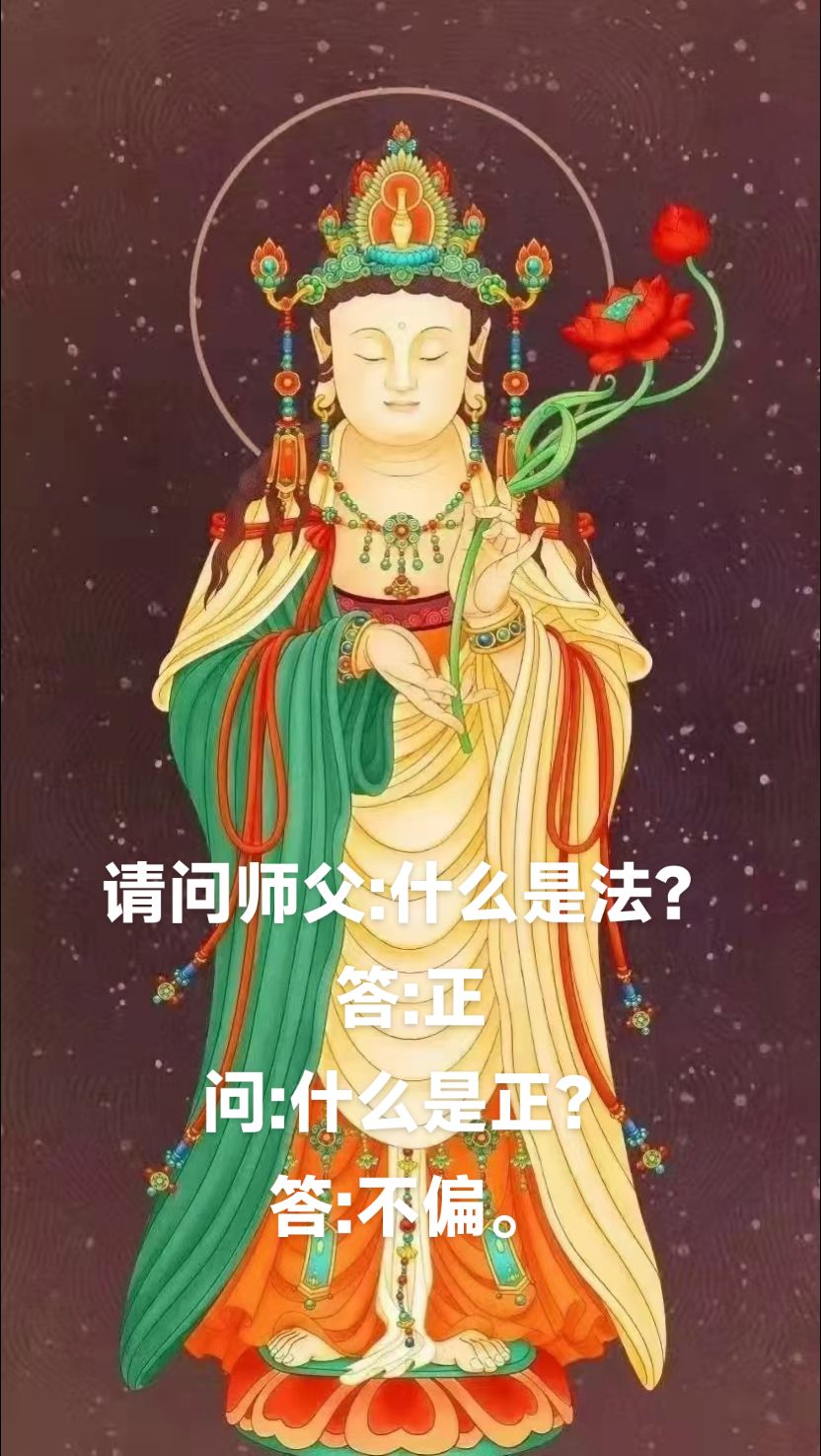 请问师父 什么是法? 答 正 问 什么是正? 答 不偏  佛教   佛