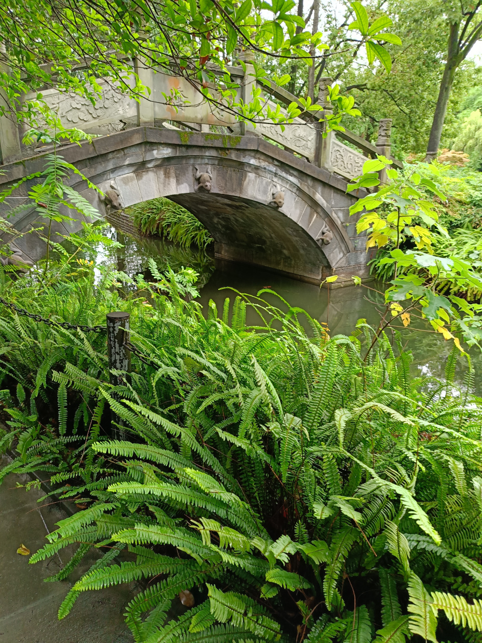 棠湖公园～成都