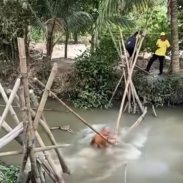 这位和尚真是运气太差了,跟着美女过河,美女过去了,他却掉河里了.