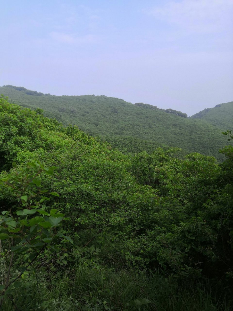 驻马店遂平龙天沟,在遂平与西平和平顶山舞钢的交界地带.
