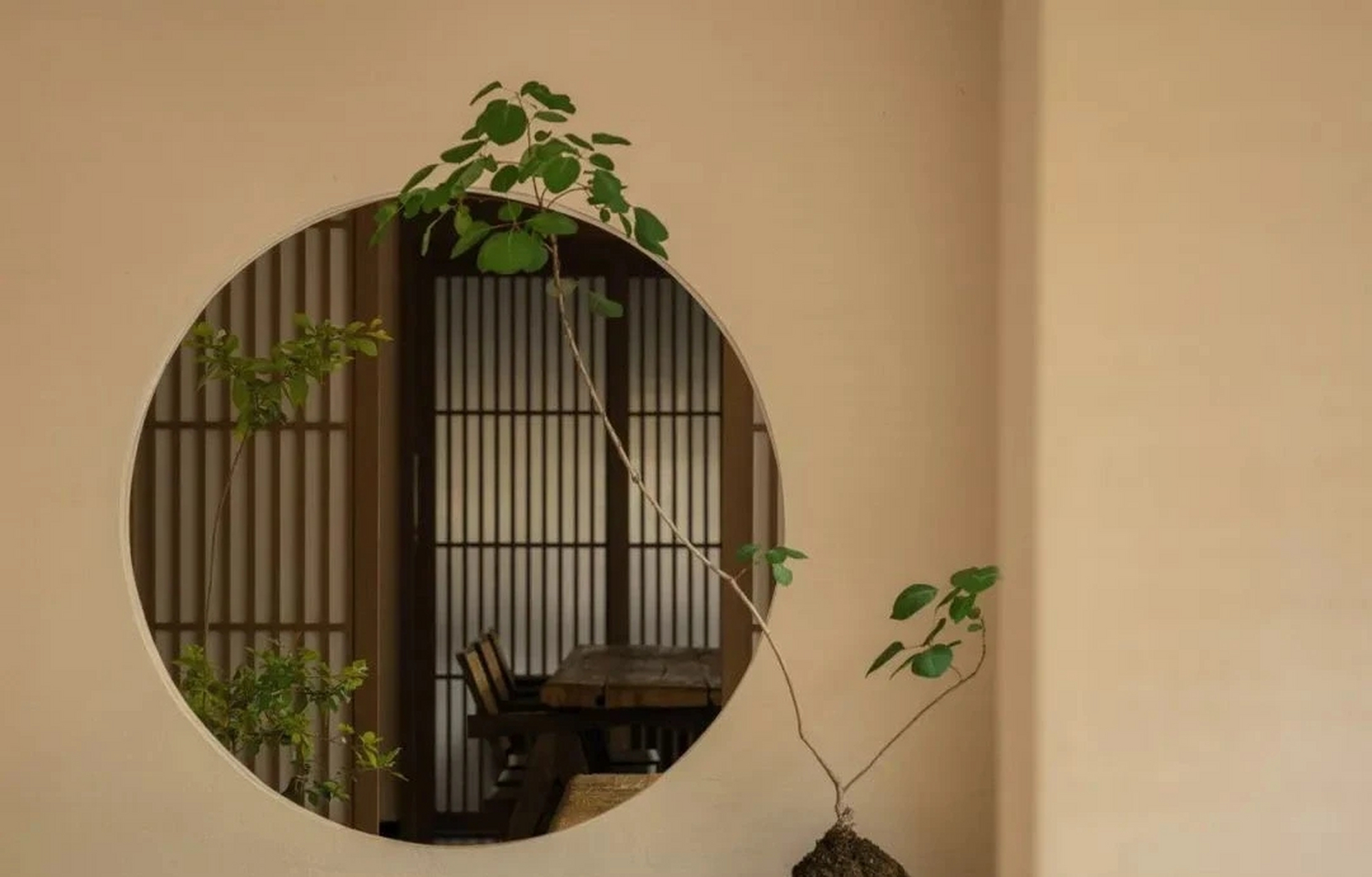 结合中式园林里面借景的手法,盆景的搭配也很有意境,诗意般的空间,很