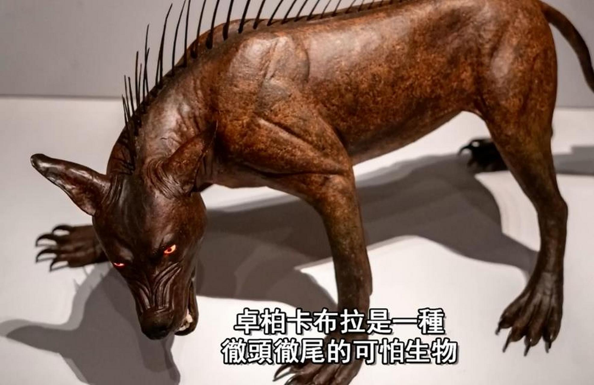 卓柏卡布拉是一种彻头彻尾的可怕生物,而且它并没有离我们很遥远,卓柏