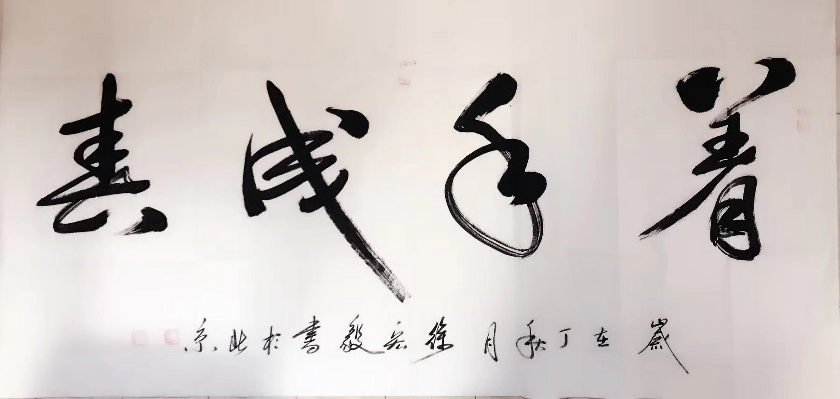 书法欣赏# #书画# #书法# 着手成春,老兵书画院长徐宏毅作品欣赏.