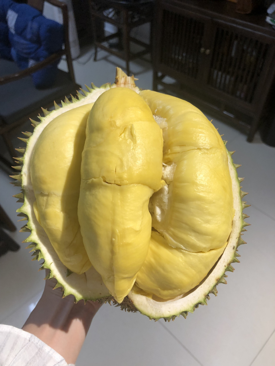 心动的美食# #榴莲