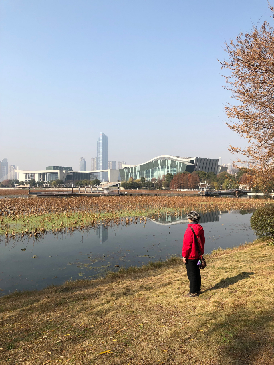 【 汤冀蛟一一《冬至没冬至》】 冬至小阳春,可为报欠情?