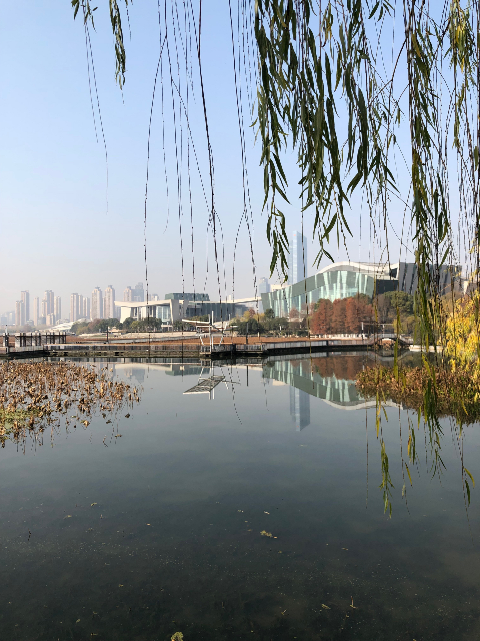 【 汤冀蛟一一《冬至没冬至》】 冬至小阳春,可为报欠情?