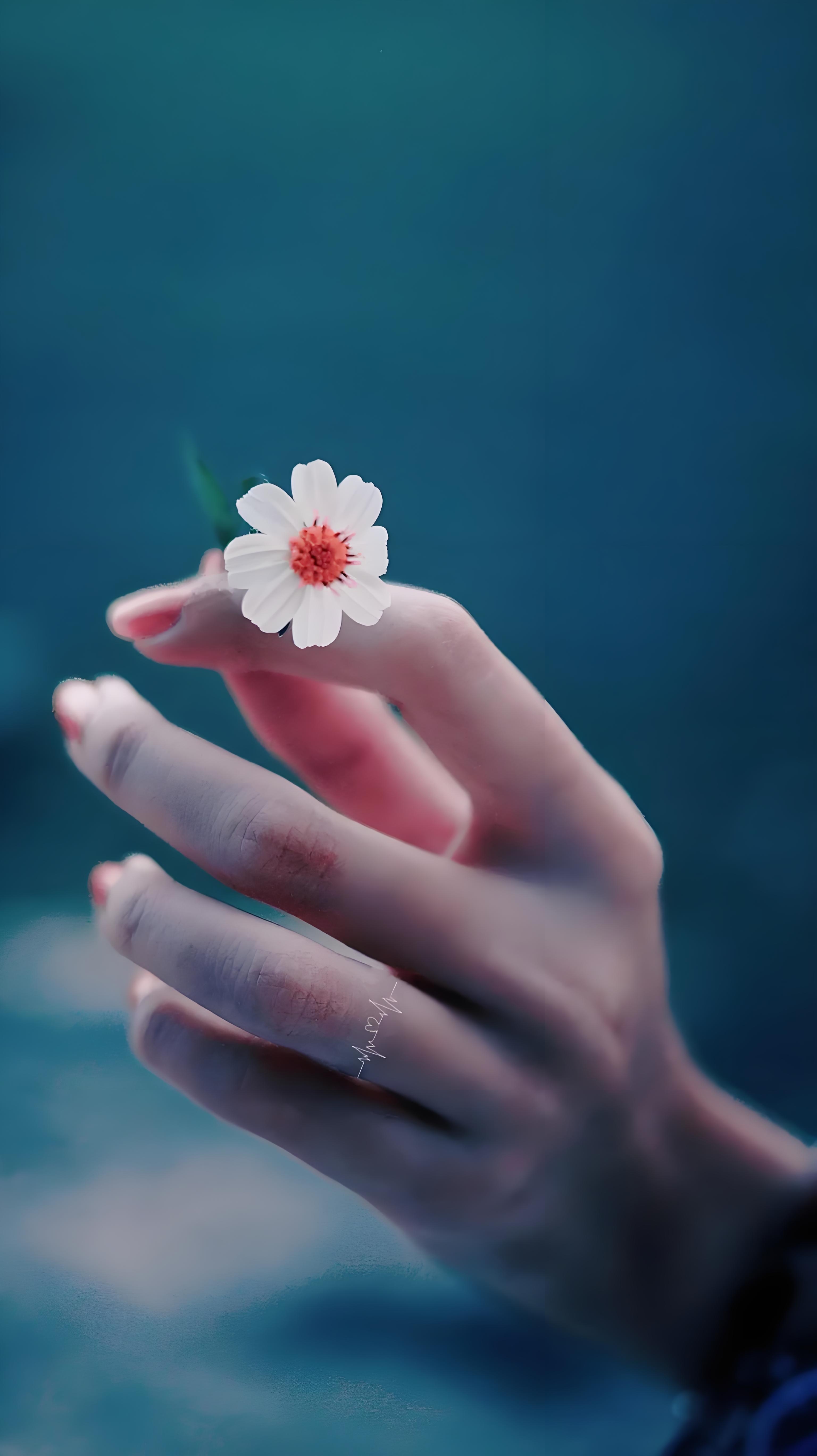 集资作业7:10个家务习惯引领强者风范