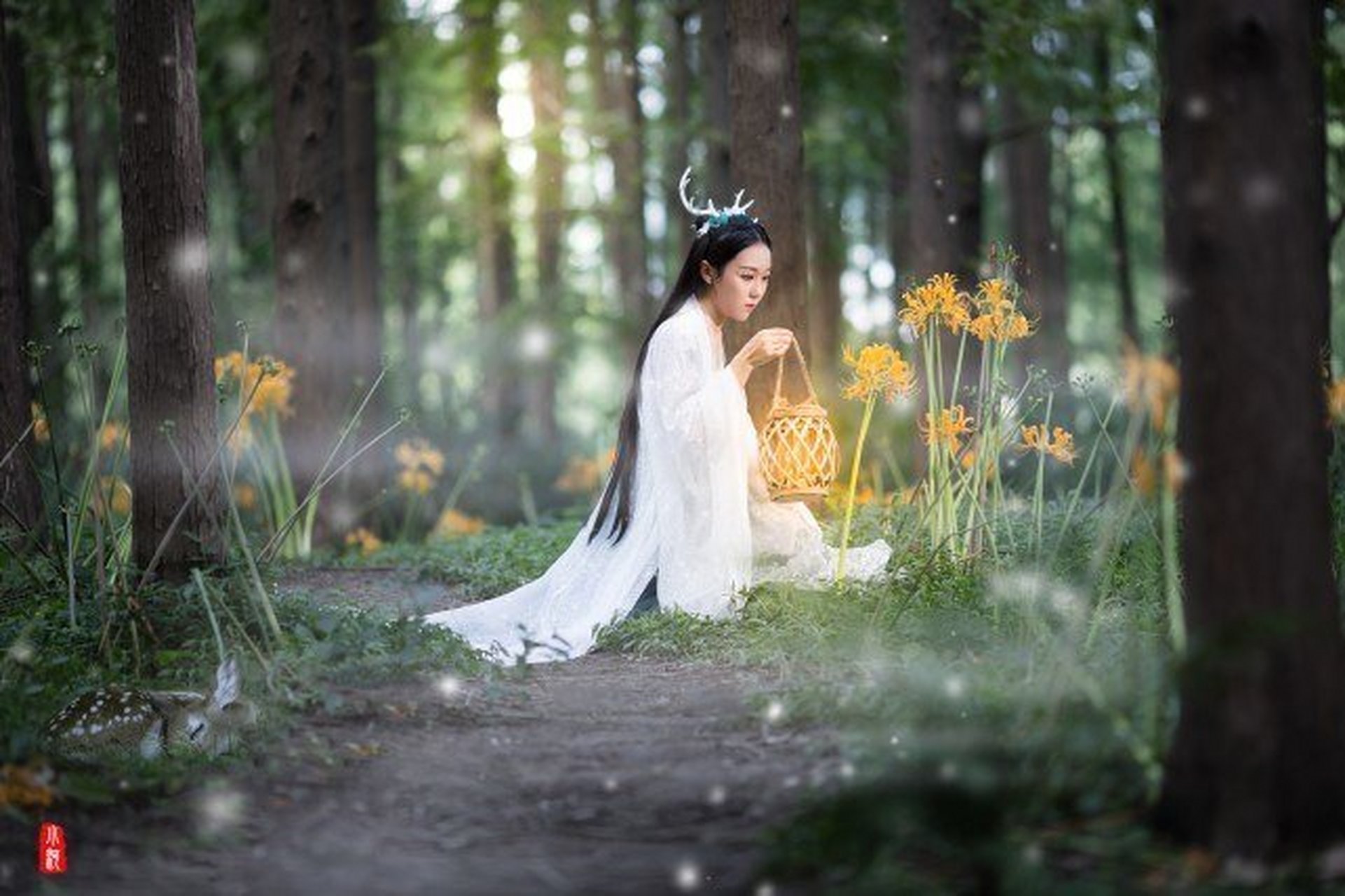 今天读了《诗经——东门之杨》,感觉好久没有读过这么美的诗了,正如这