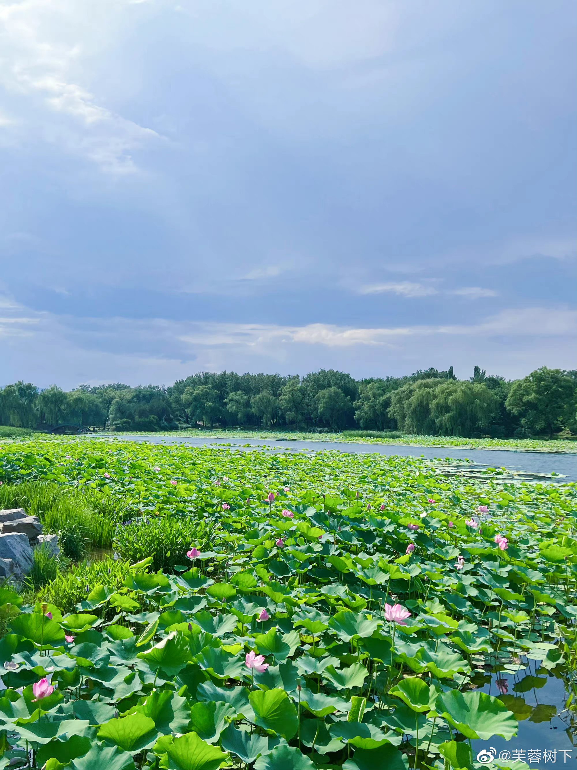 有些情怀也是要建议在一定的物资基础和能力上的,没