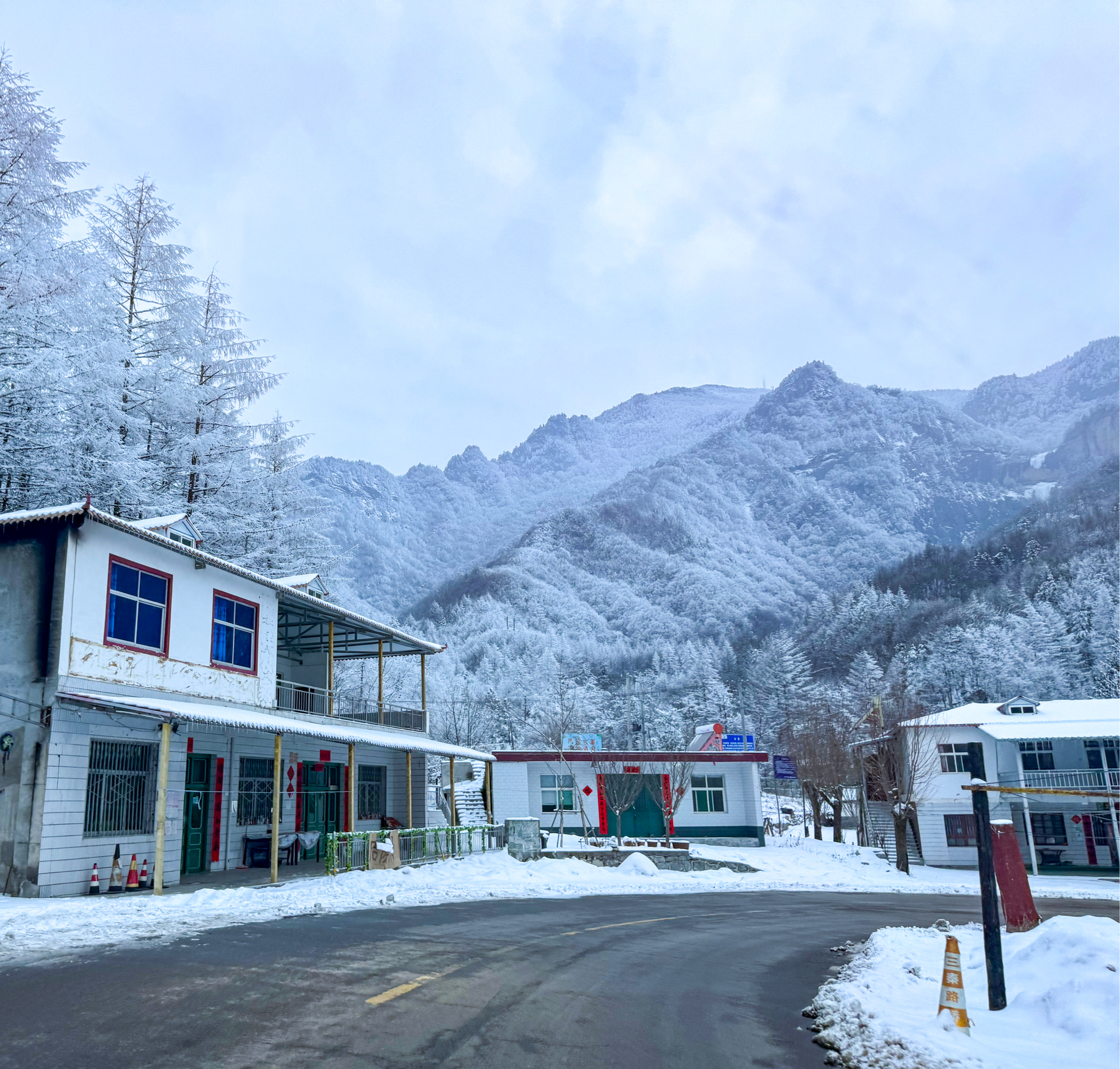 秦岭沣峪口图片