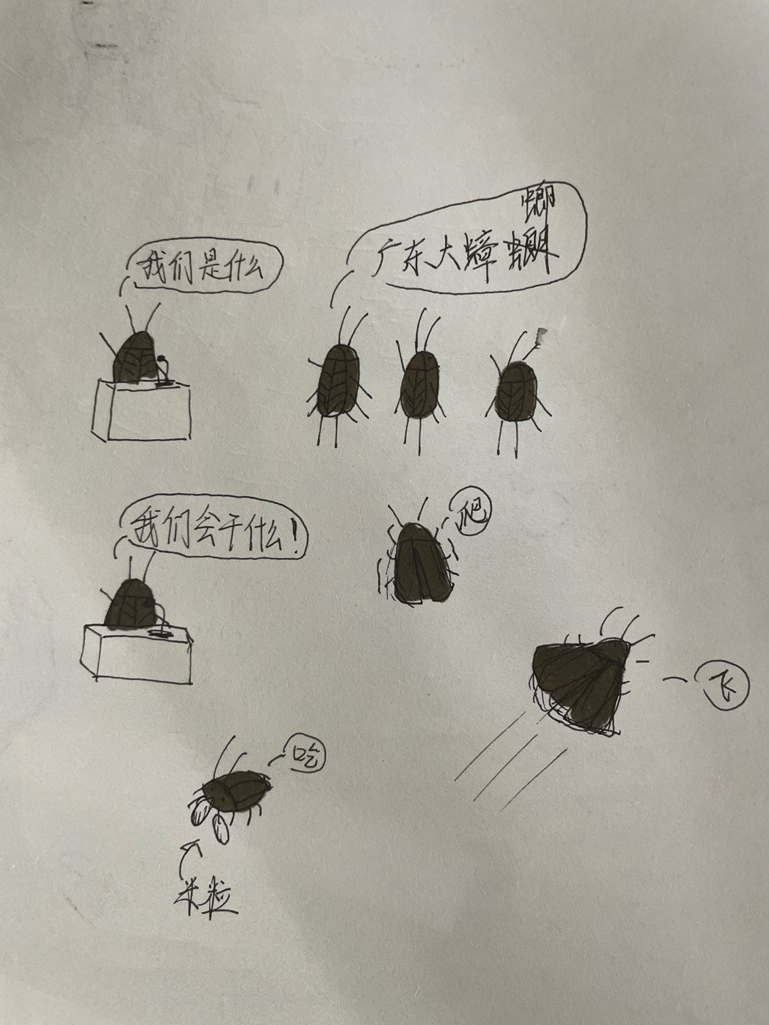 画画交流组  蟑螂