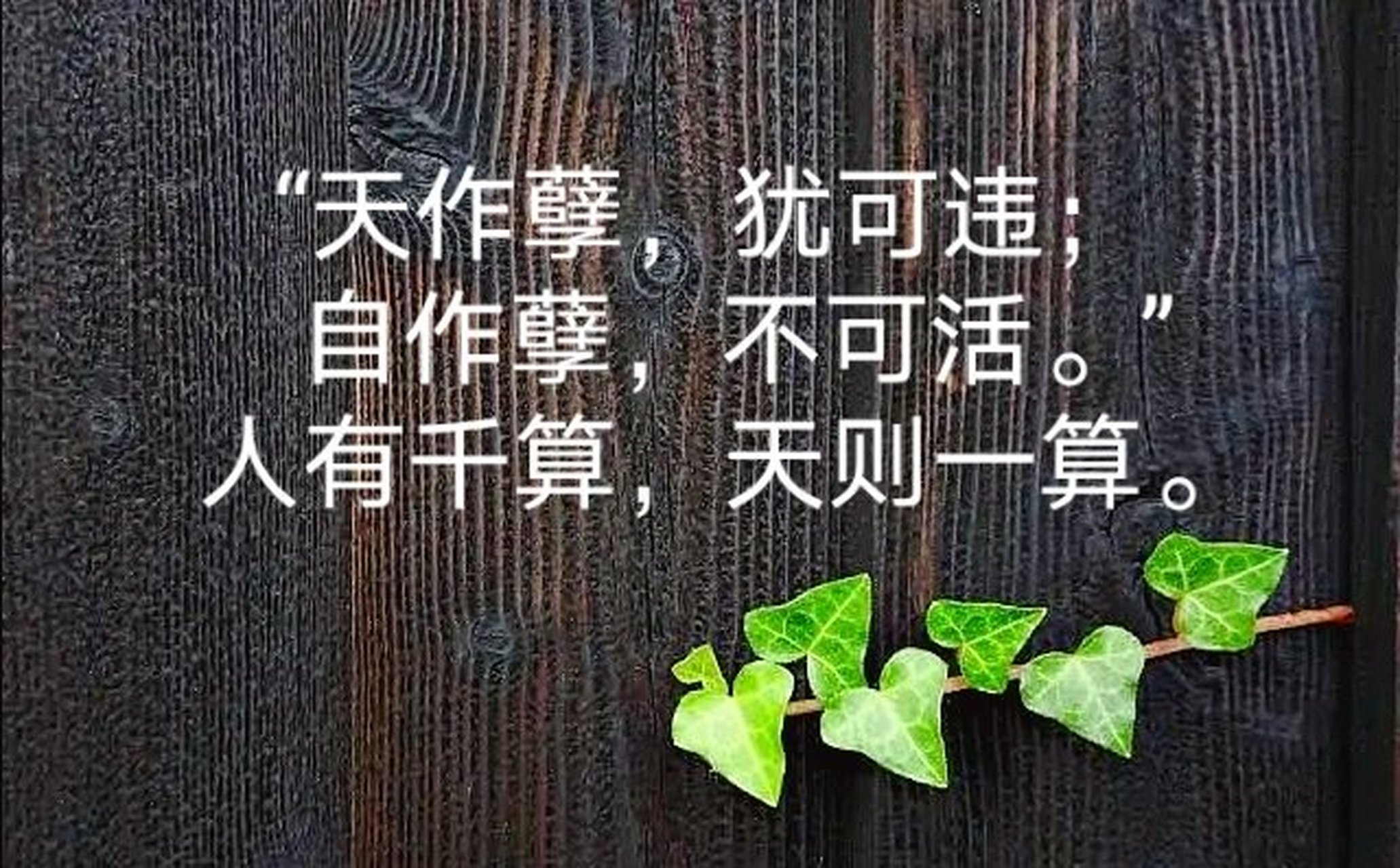 "天作孽,犹可违 自作孽,不可活 人有千算,天则一算.