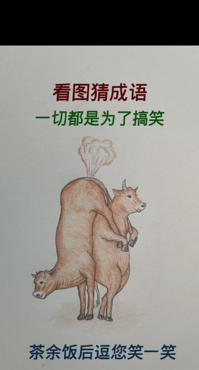 网图侵删#动态连更挑战