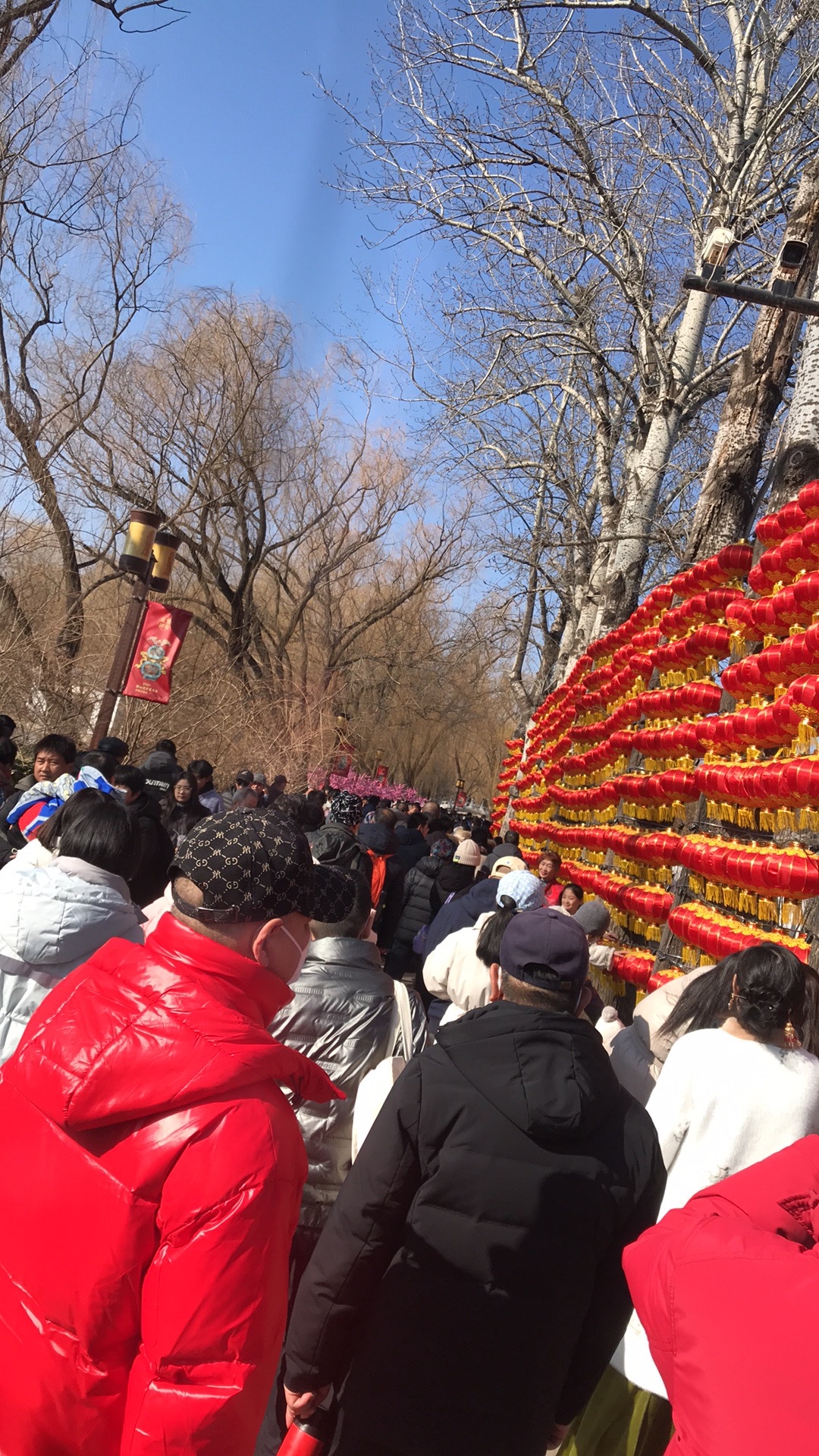 大年初一的圆明园庙会真的太热闹太精彩了,人山人海,各种传统文化艺术