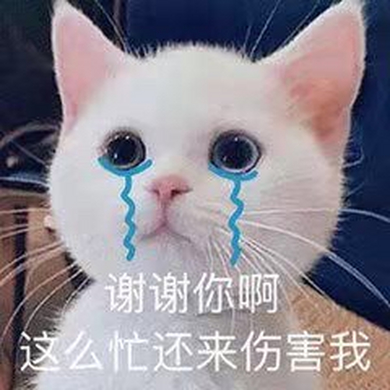 我可以慣著你,也可以換了你. 生而為人,最大的動力就是希望.