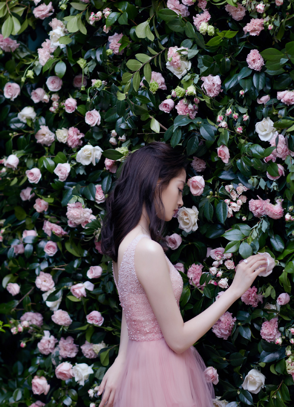 关晓彤图片(现装)