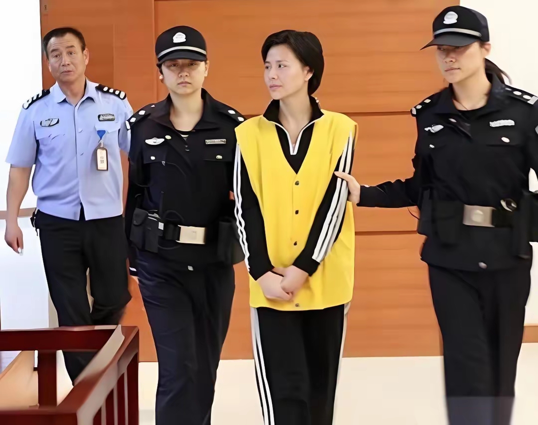 江苏狠女:4年狂骗17亿,整容逃亡时,玻尿酸还未干就被抓