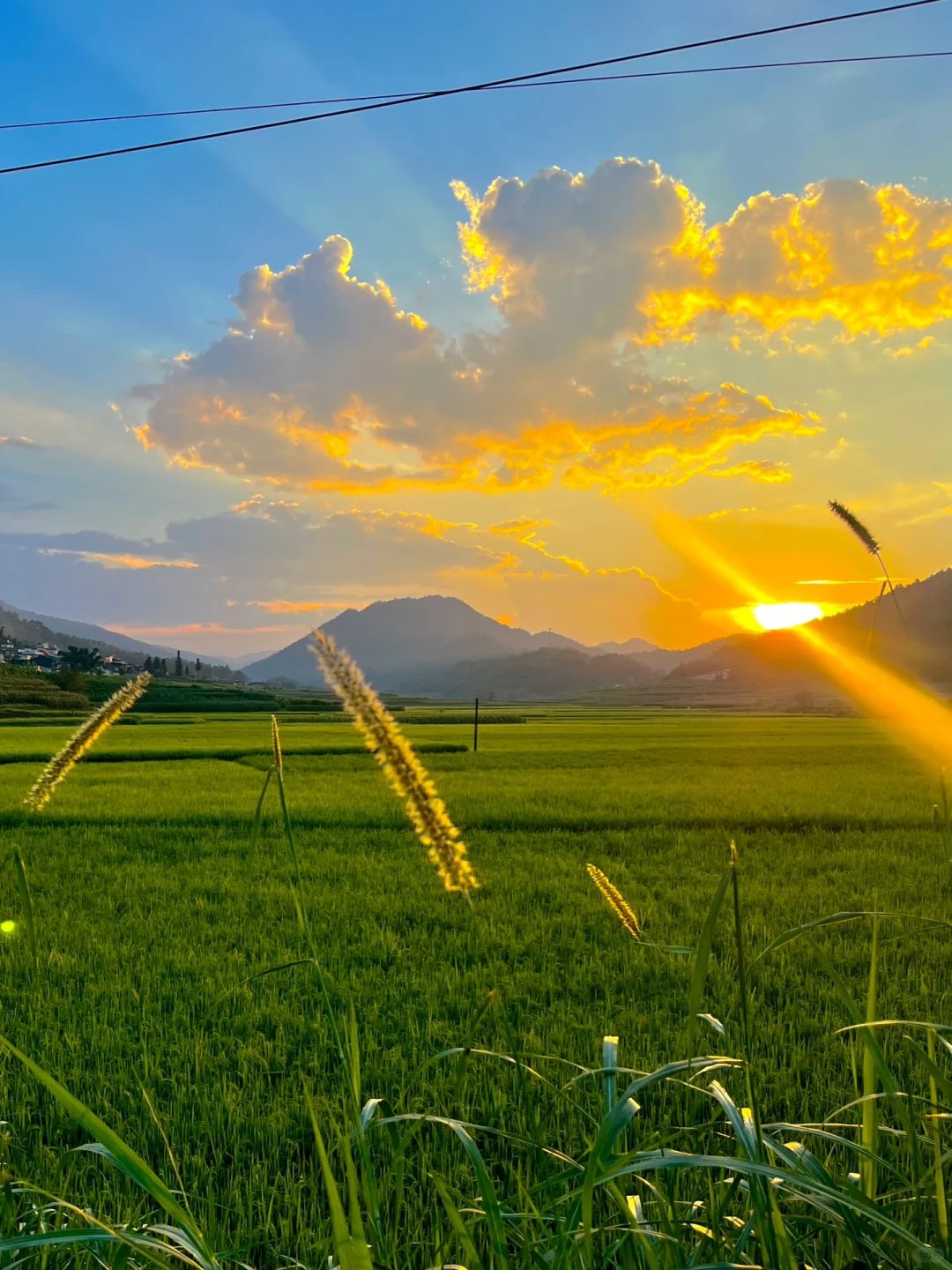 日落下的绿色田野,仿佛是大自然的调色板