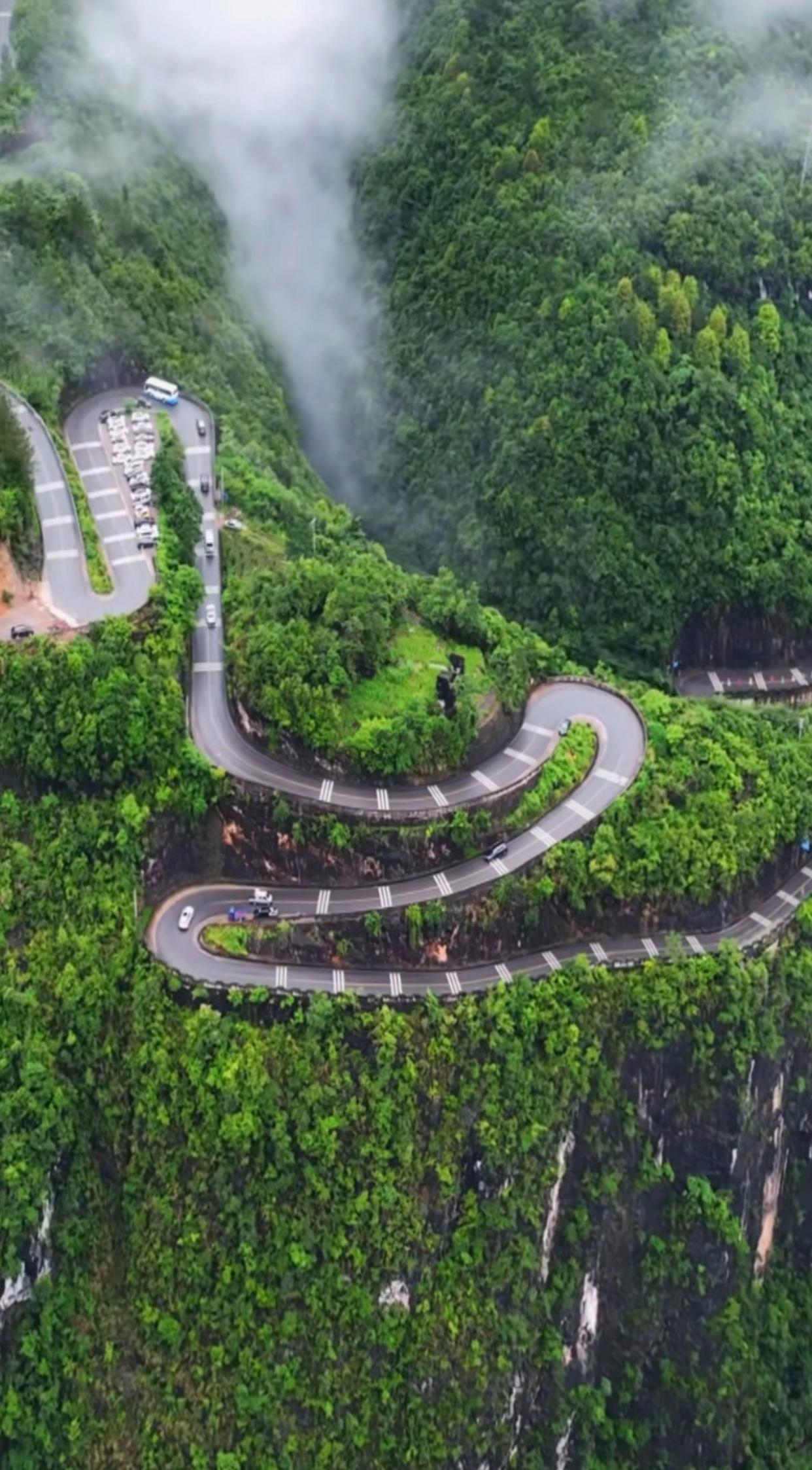 但等我真站到那山路口,看着那弯弯绕绕像盘蛇一样的山路,我心里当时就