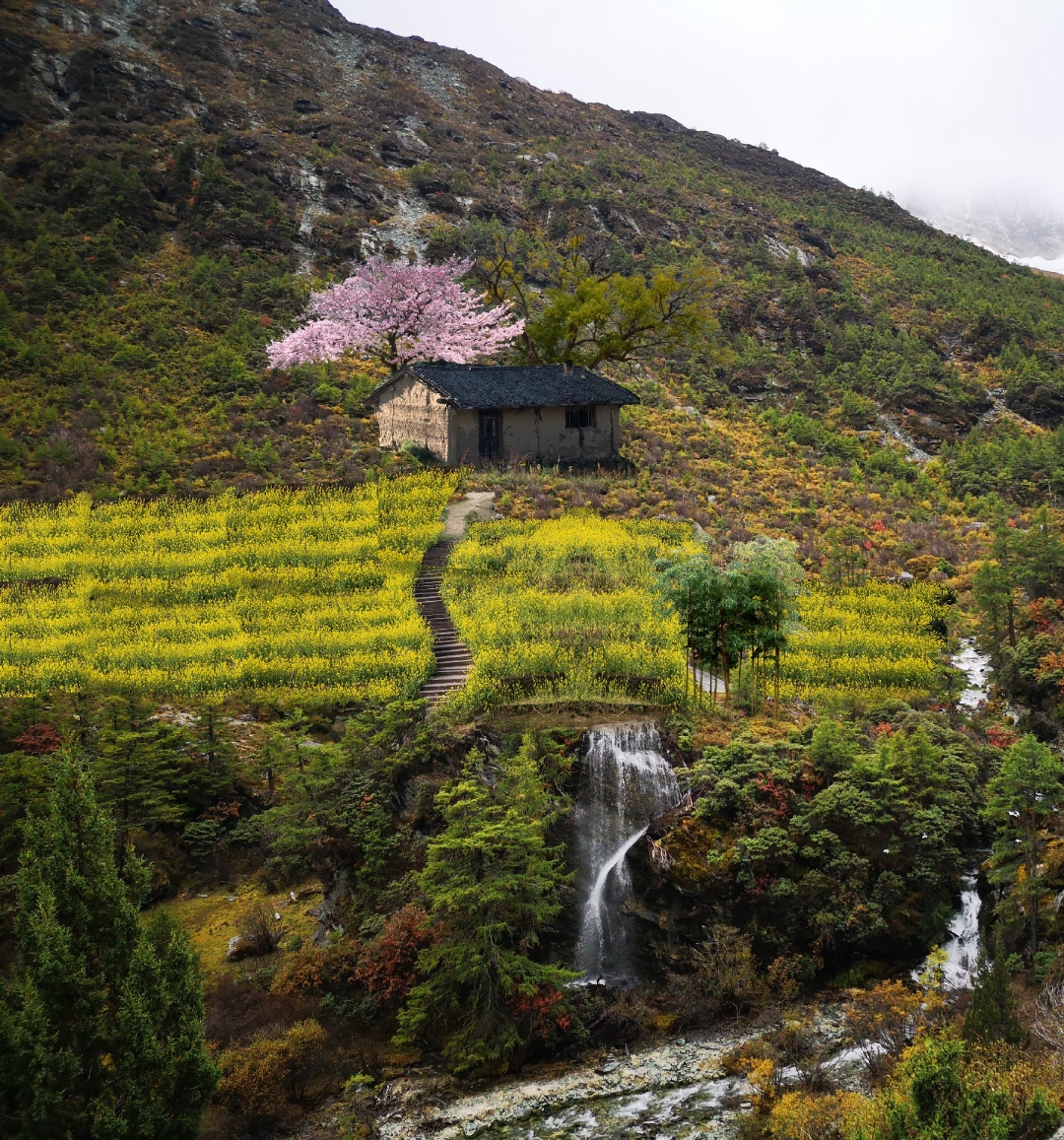 山水茅屋庄家,田园生活醉人心.  今日漫步乡间,感受自然与宁静.