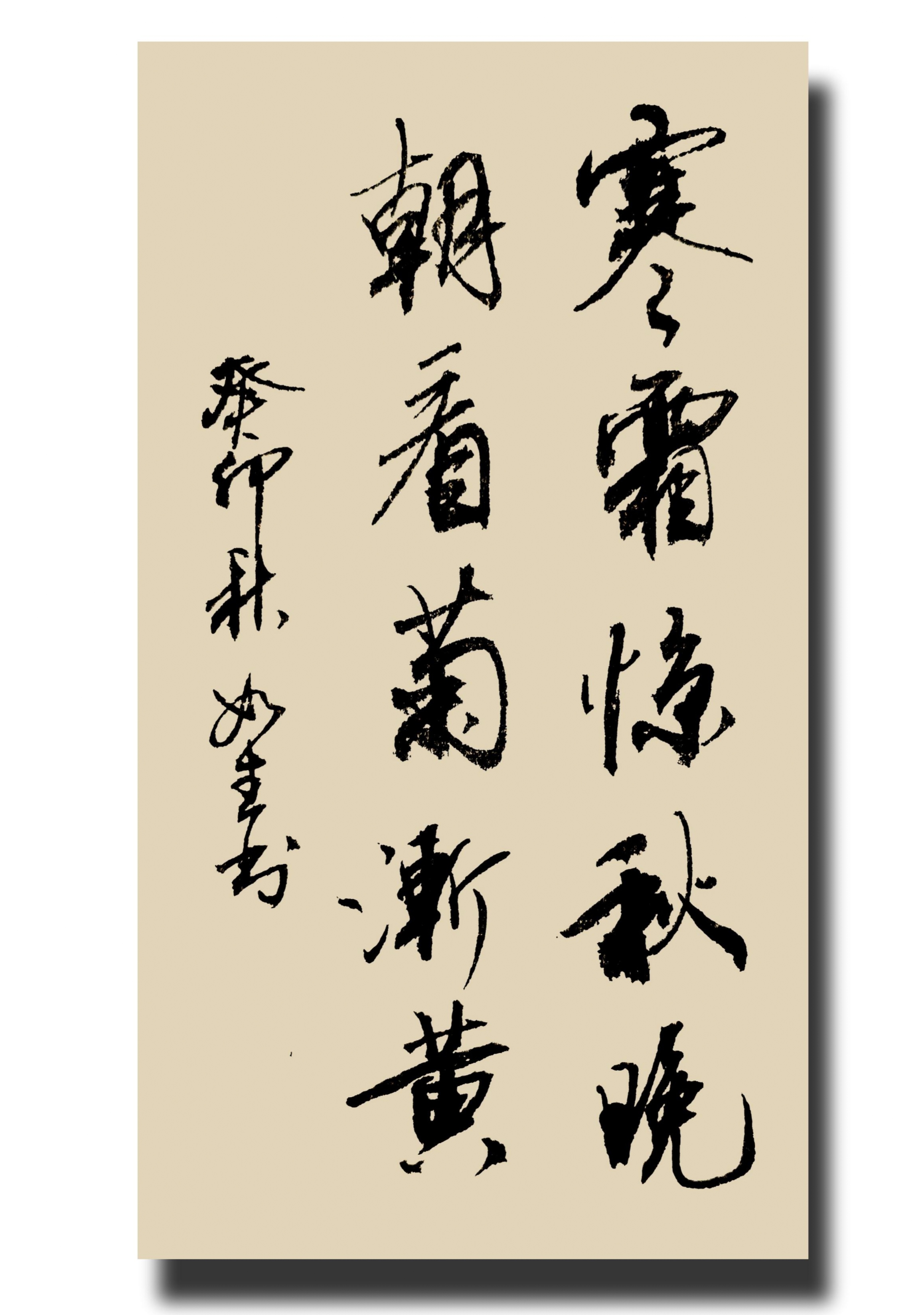 寒露 寒霜惊秋晚 朝看菊渐黄