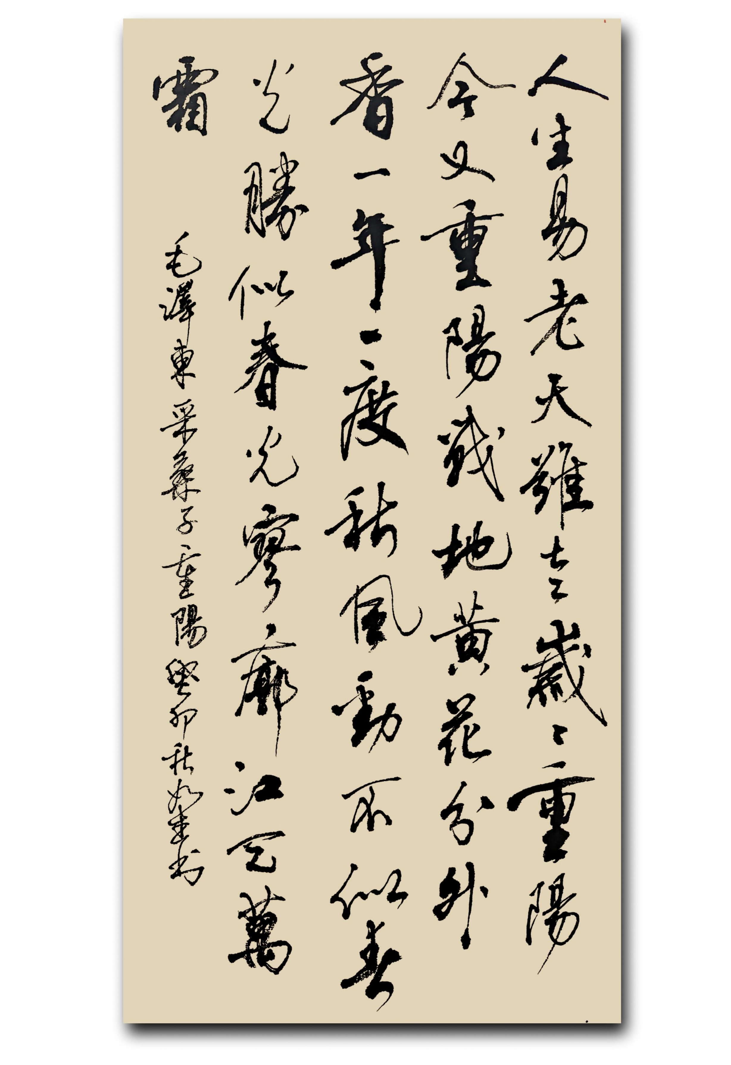 今又重阳,战地黄花分外香. 一年一度秋风劲,不似春光.