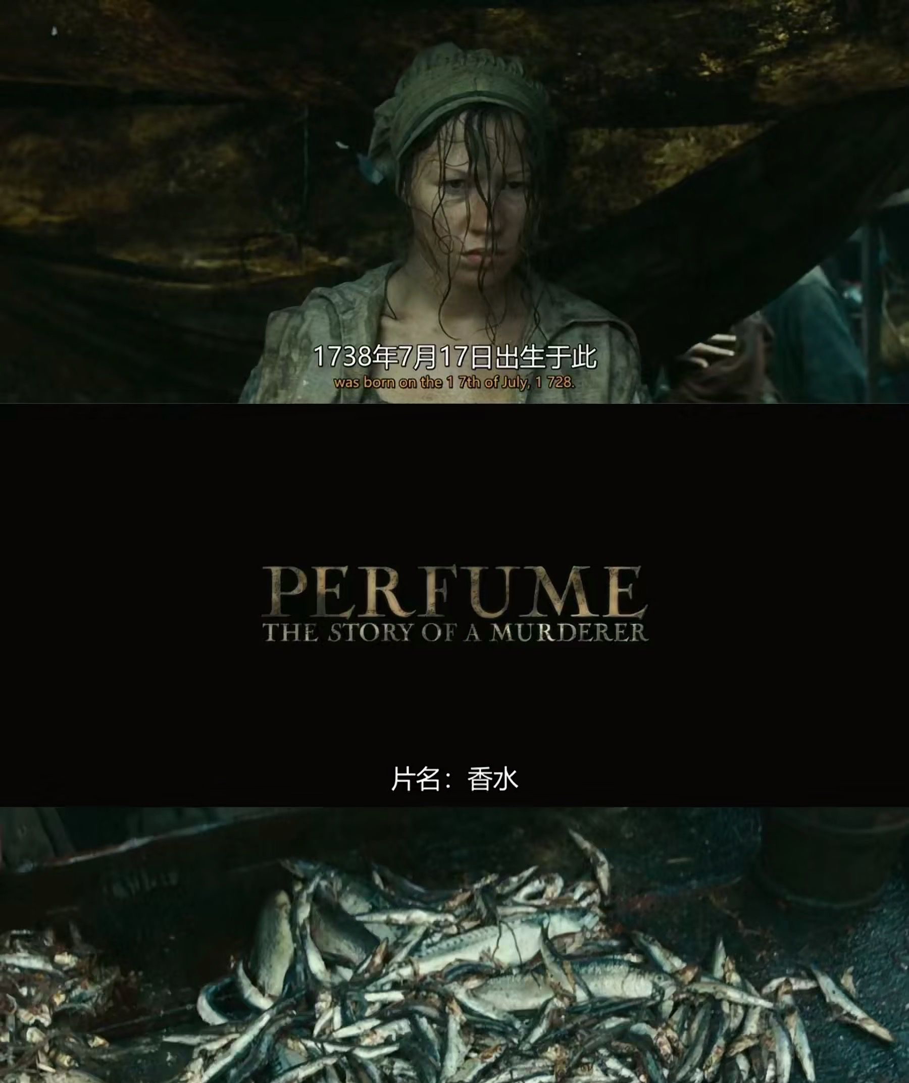 情s人间perfume图片