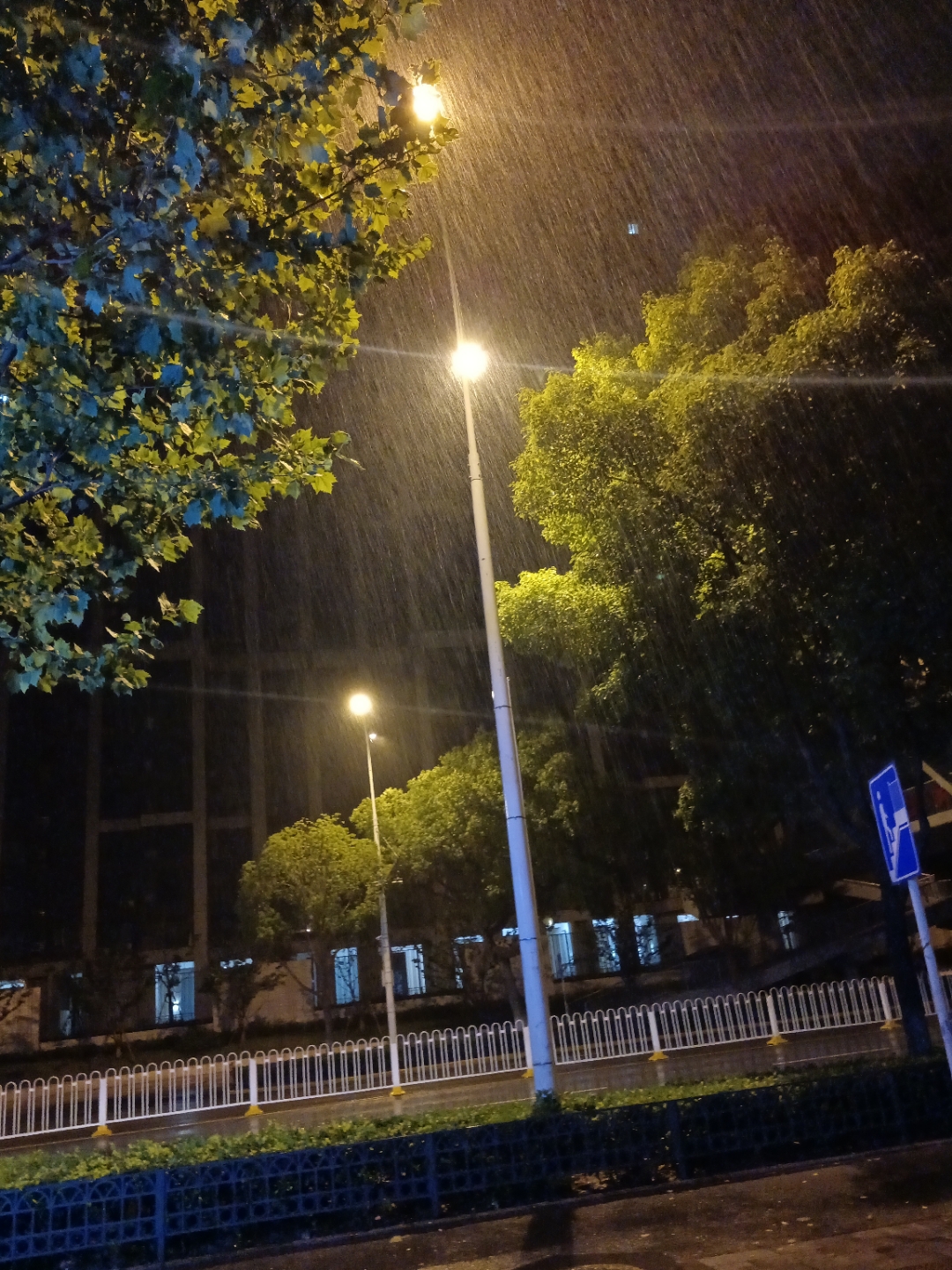 雨夜漫步,街灯下的清新绿意,心情如这雨般宁静