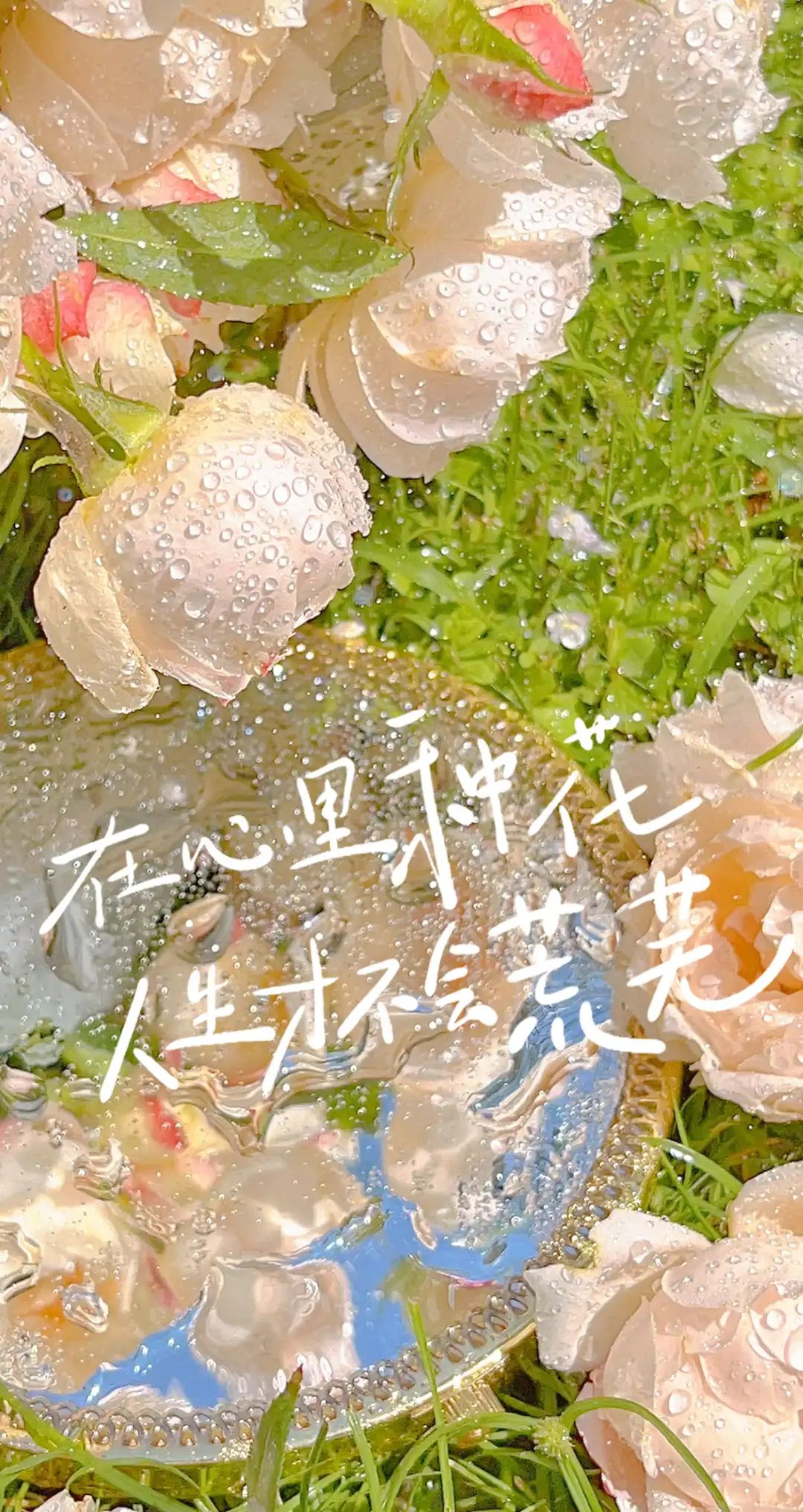 文案壁纸o(*////▽////*) 喜欢请点赞,谢谢啦