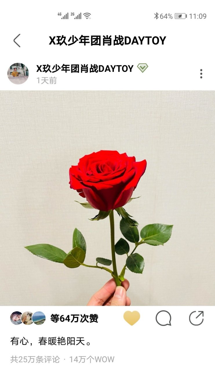 今天看到肖战在绿州发的玫瑰和大家送他的花海,特别是小飞侠们清理