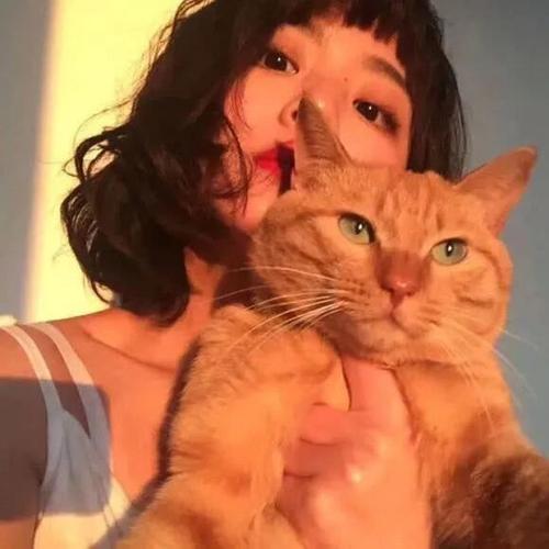 鹅鹅鹅,ins系橙色女生头像来喽
