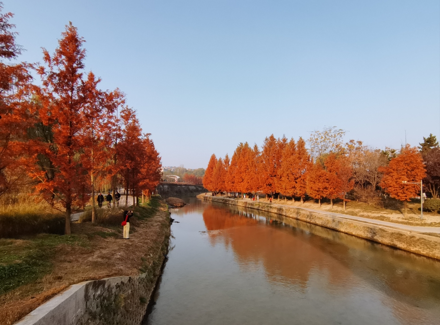 西安樊川公园图片图片