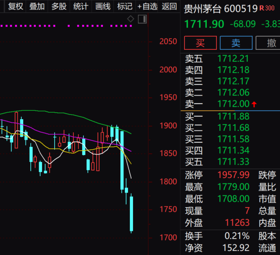 权重股指的是哪些股票=权重股指的是哪些股票啊