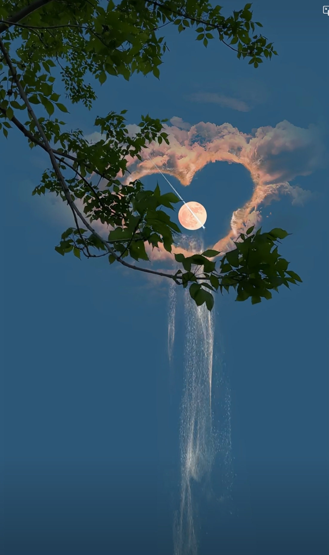 雨季绽放 炽热的相思 总是在 七月的流火中燃烧