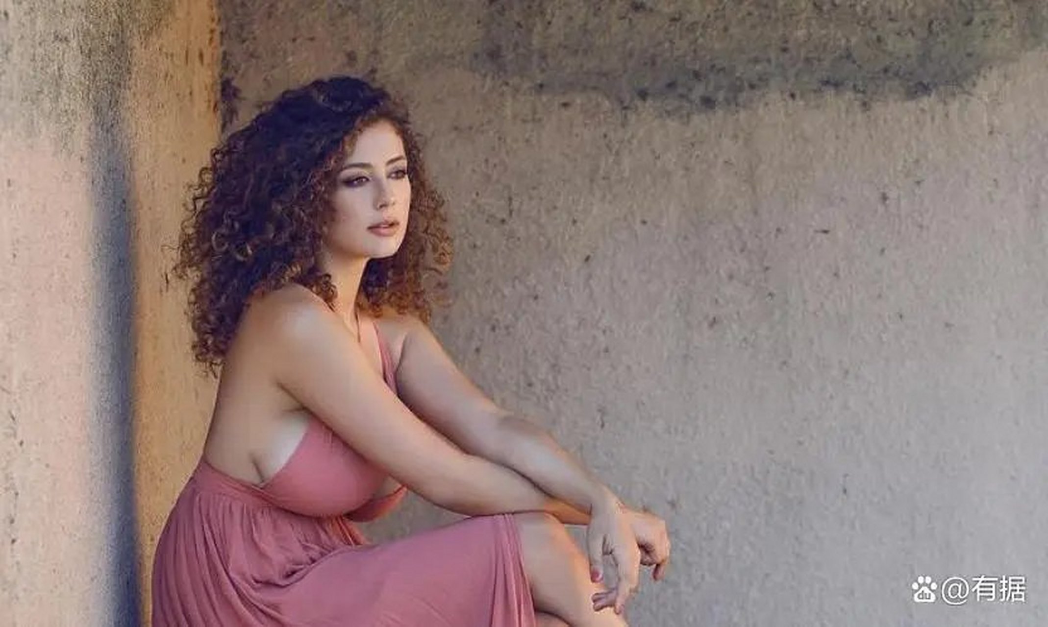 图一是最近网上热传的据说是年轻时的佩洛西照片,咱也无法判定真假,但