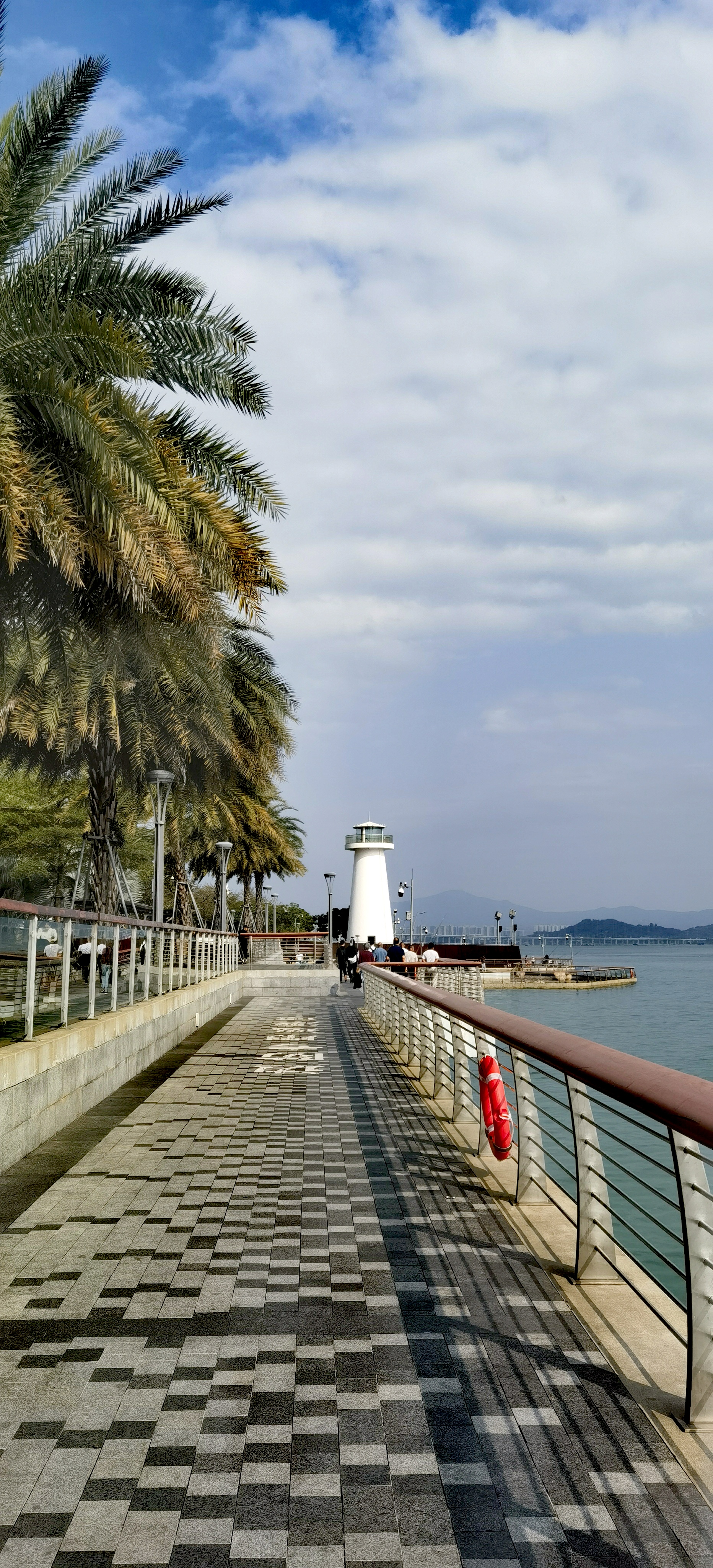 今日漫步深圳湾公园,海风轻拂,心情格外舒畅.