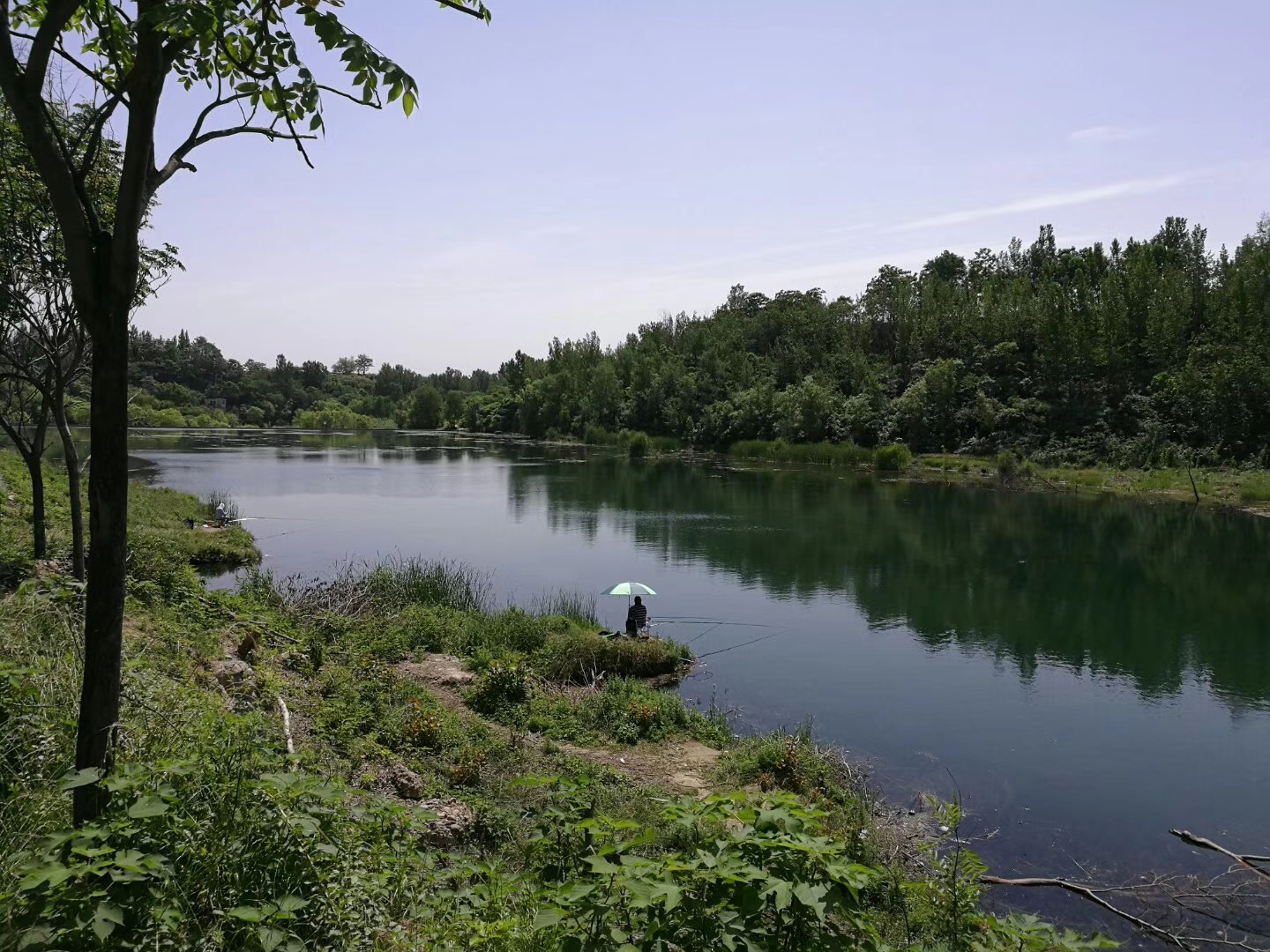 又到了一年中淇河最美丽的季节,这条从诗经中走出来的河流,带着诗人的