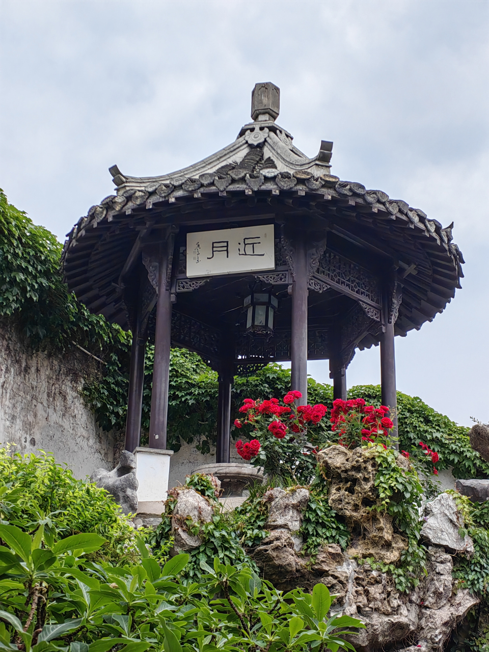 晚清第一园,扬州荷园,以其精美的园林艺术和丰富的文化内涵,吸引了无