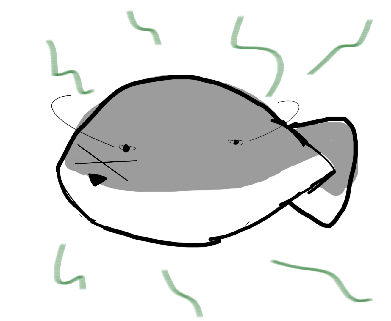 小甲鱼 想要的拿走