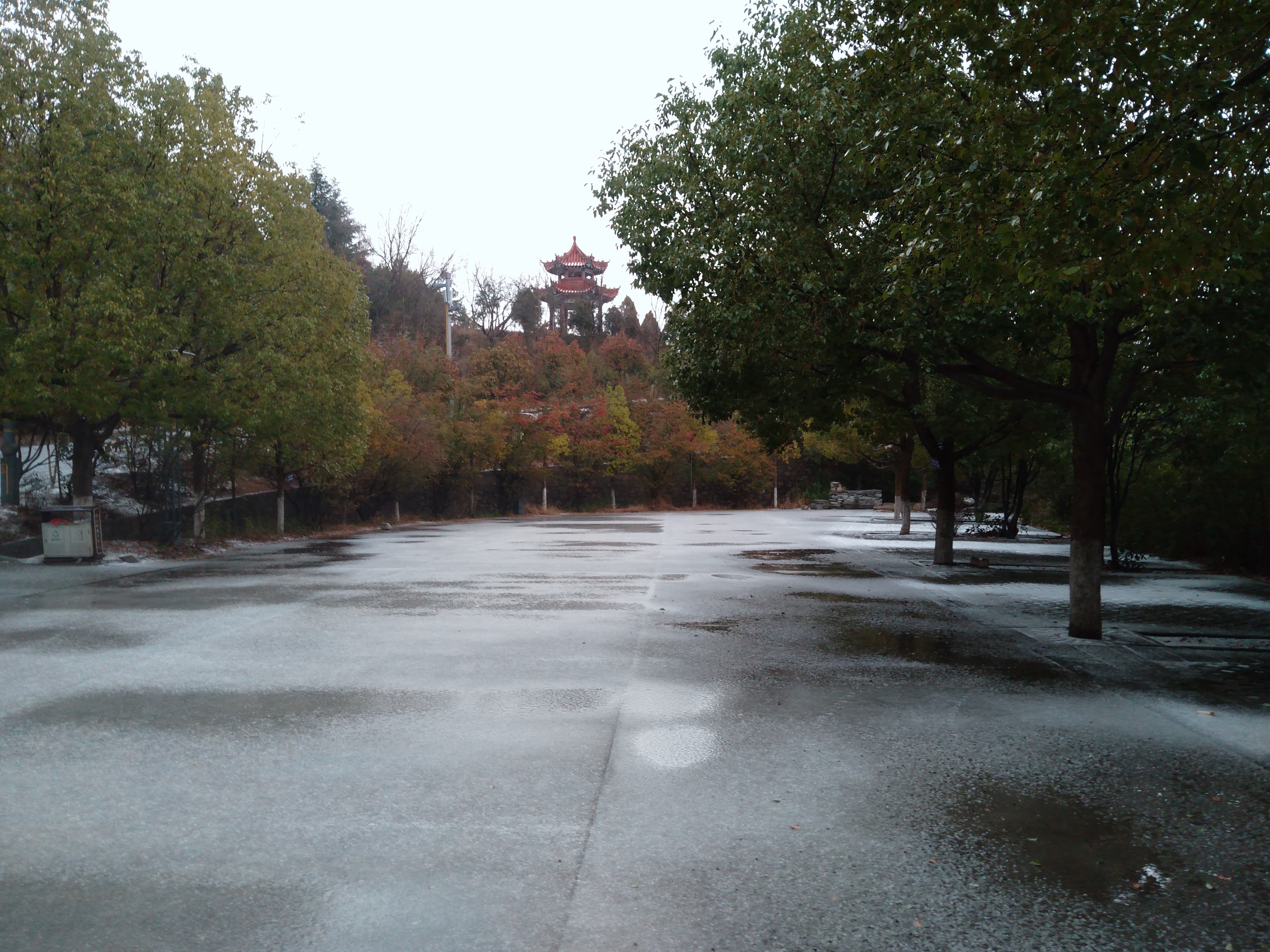 山区迎来今年初冬第一场雪——照片拍摄于丹丹凤县凤冠山自然风景区