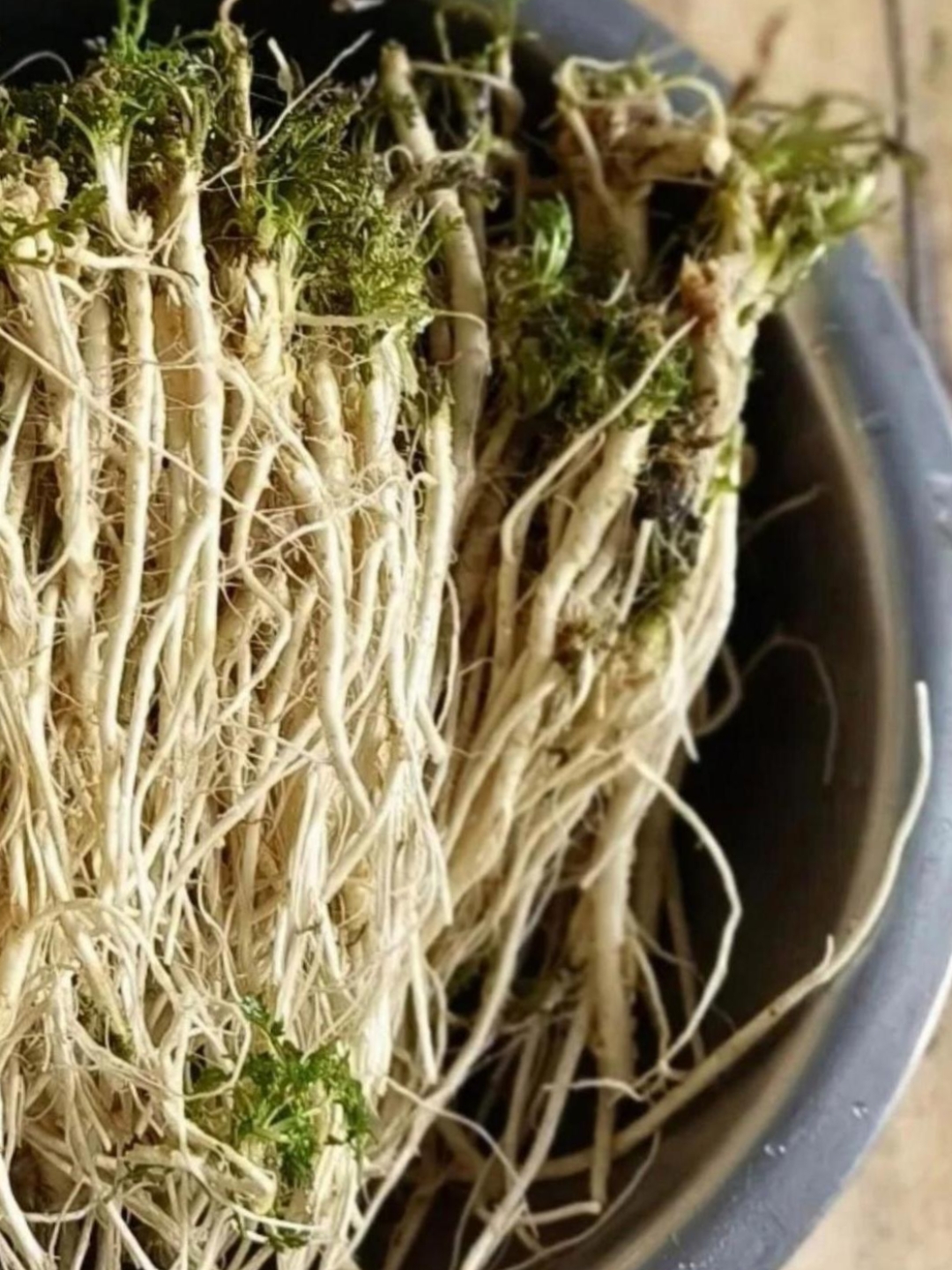 这是老公同事送给老公的,说是好东西,第一眼看上去